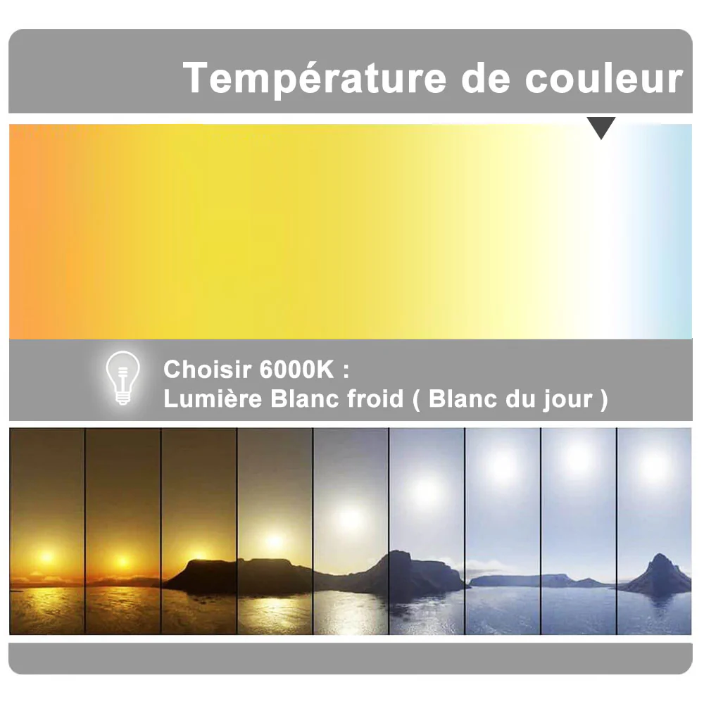 Image du produit 10